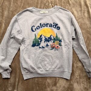 Wound Up Gray Crew Neck Sweater with Mountain Graphic